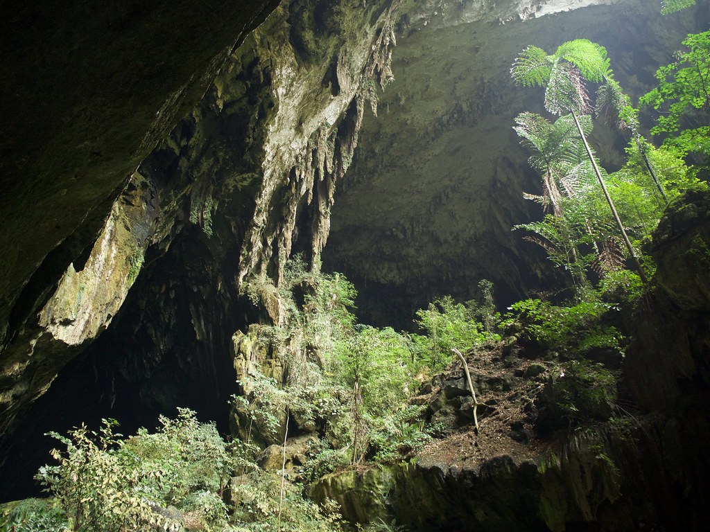 Deer Cave Malaysia