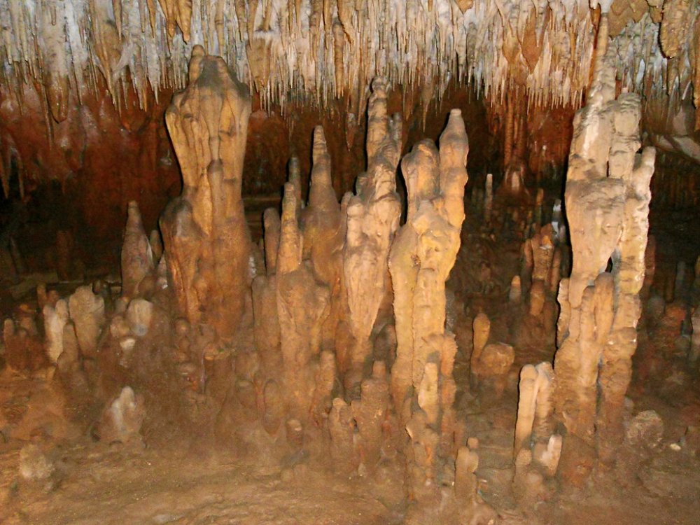 Cave formations at Florida Caverns State Park