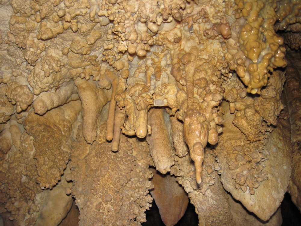 Coralloid-covered stalactites in Great Onyx Cave