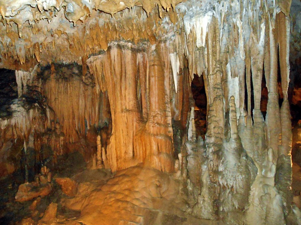 Florida Caverns State Park, Cave formations