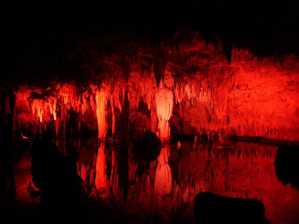 Jungle Room - Meramec Caverns