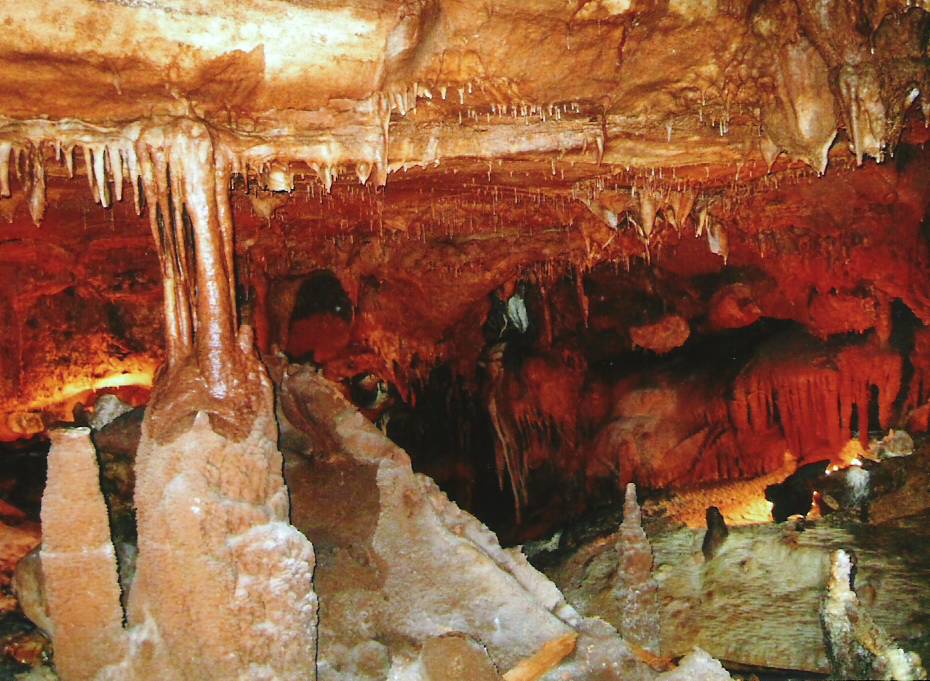 Laubach Cave (Inner Space Cavern), Georgetown, Texas