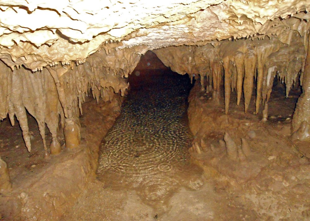 Pool of Water, Florida Caverns State Park