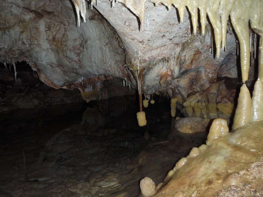 Stalagmites and Bottle-Brush Stalactite