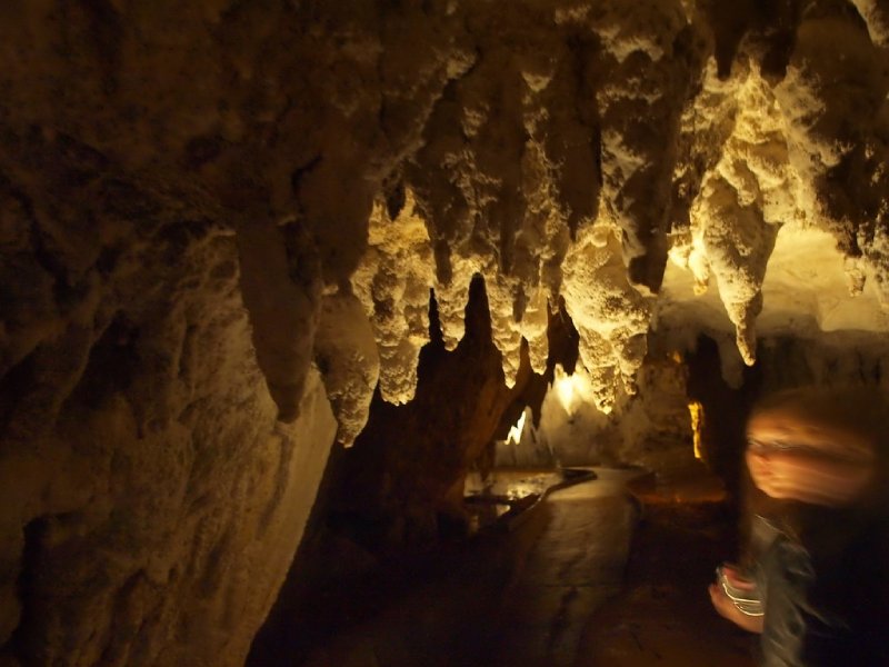 Waitomo Caves, New Zealand